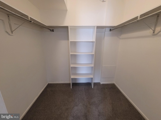 spacious closet with dark carpet