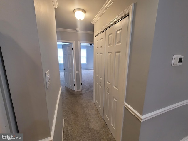 hallway featuring carpet and crown molding