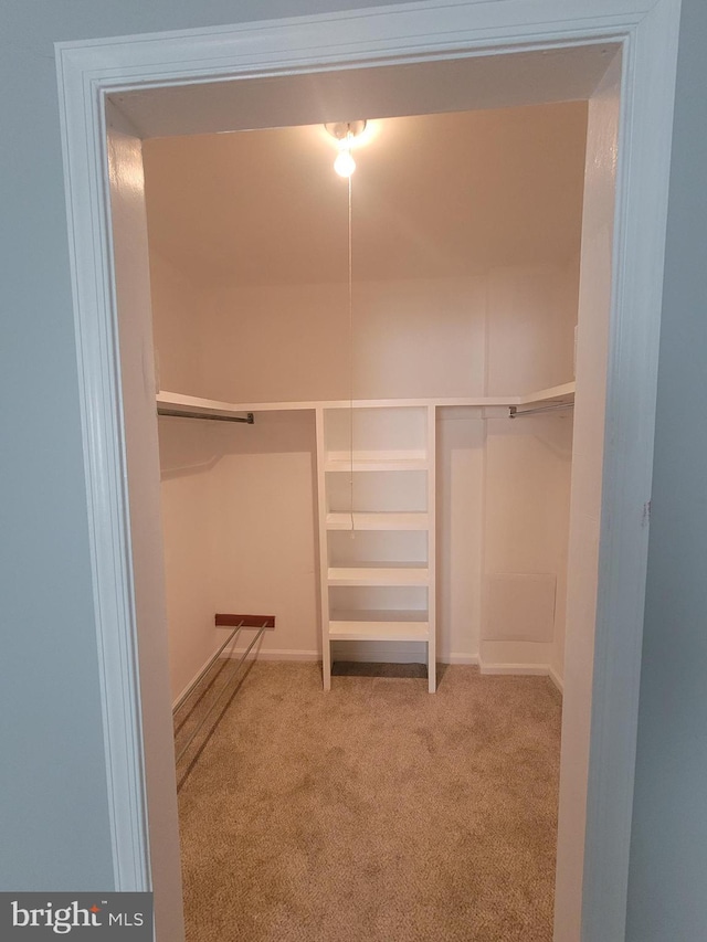 walk in closet with carpet