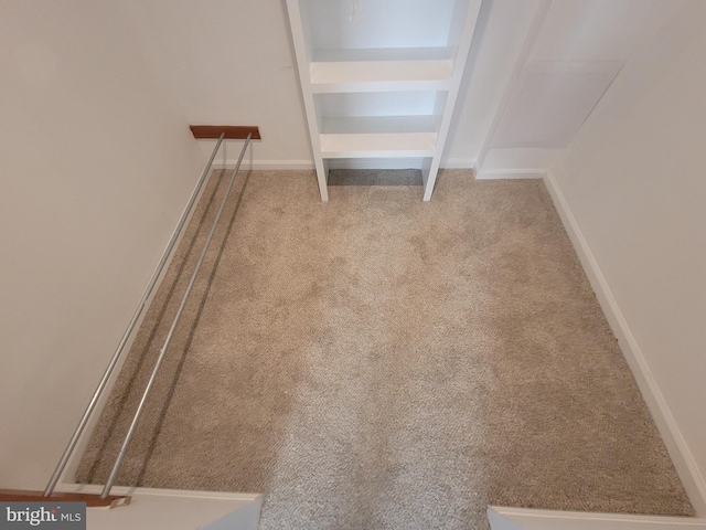 walk in closet with carpet