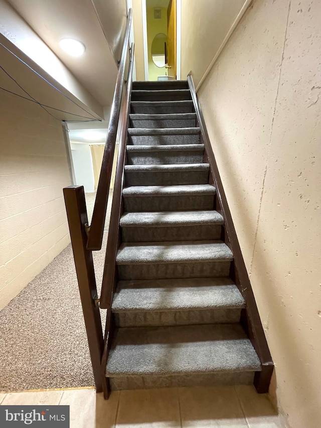 staircase with carpet floors