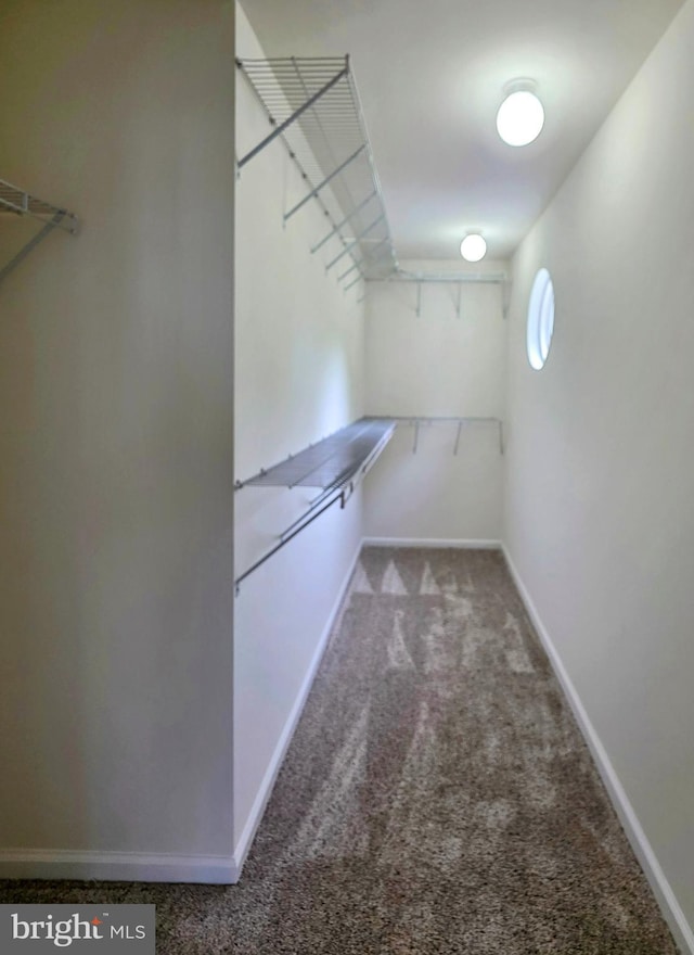 5128 Shore Dr, Huntingtown, MD 20639 - walk in closet with carpet flooring