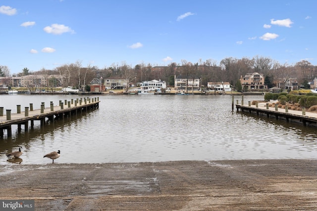 dock area with a water view