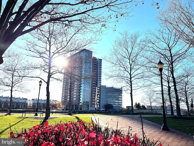 view of property's community featuring a lawn