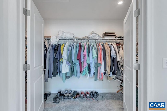 spacious closet featuring carpet floors