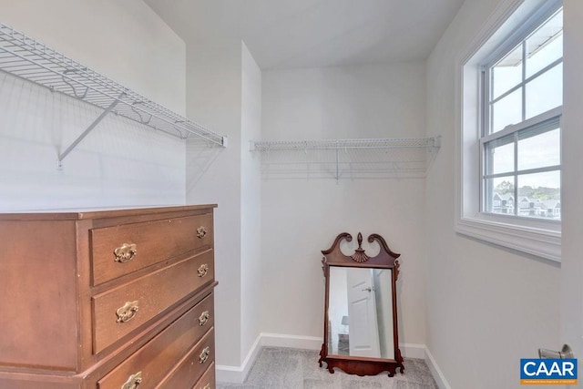 walk in closet featuring carpet floors