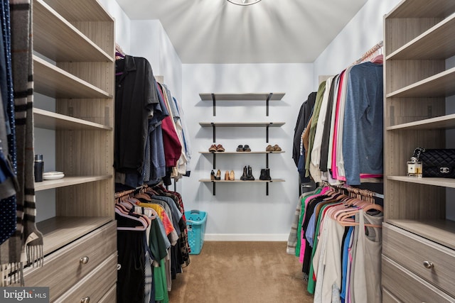 spacious closet featuring carpet flooring