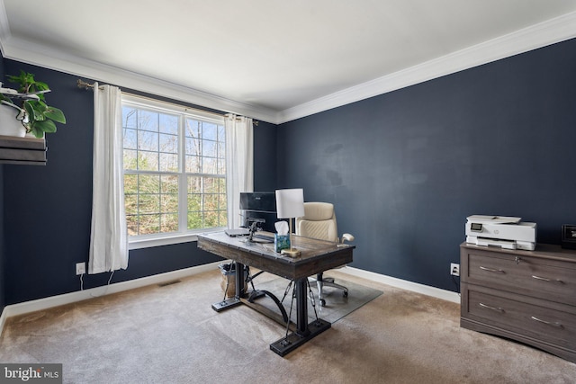 office space with baseboards, carpet flooring, and crown molding