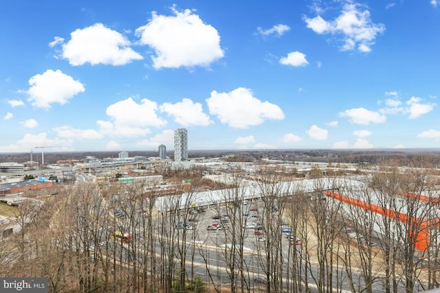 aerial view with a view of city