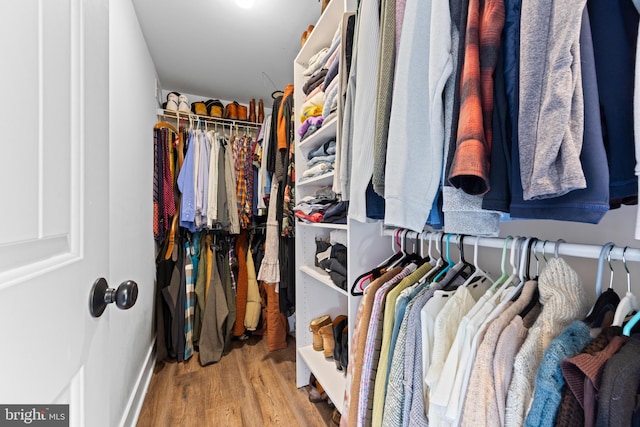 walk in closet featuring wood finished floors