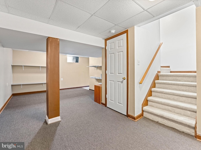 basement with a paneled ceiling, carpet, and baseboards