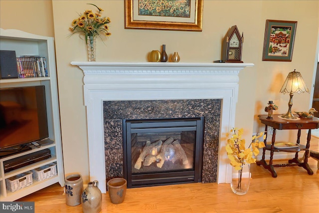 details with a fireplace and wood finished floors