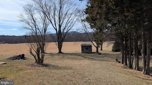 view of yard featuring an outbuilding and a shed