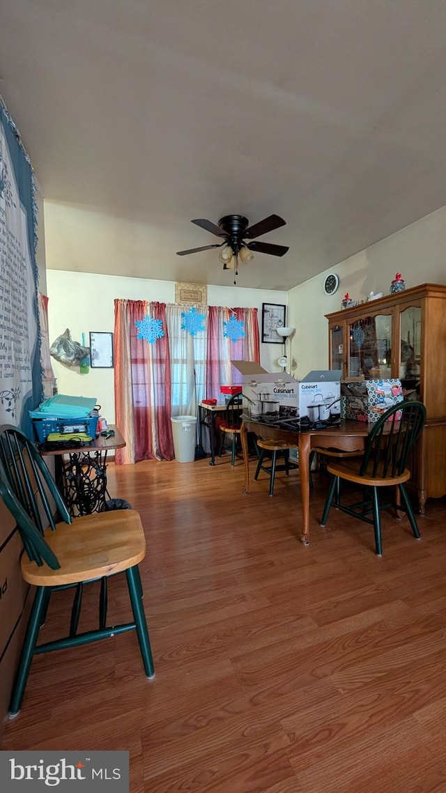 interior space featuring ceiling fan and wood finished floors