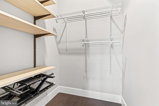 walk in closet featuring dark wood finished floors