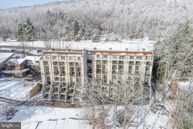 snowy aerial view featuring a view of trees