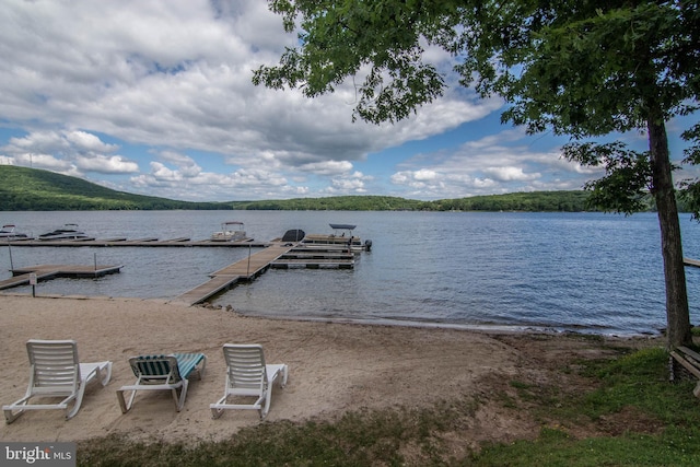 dock area with a water view