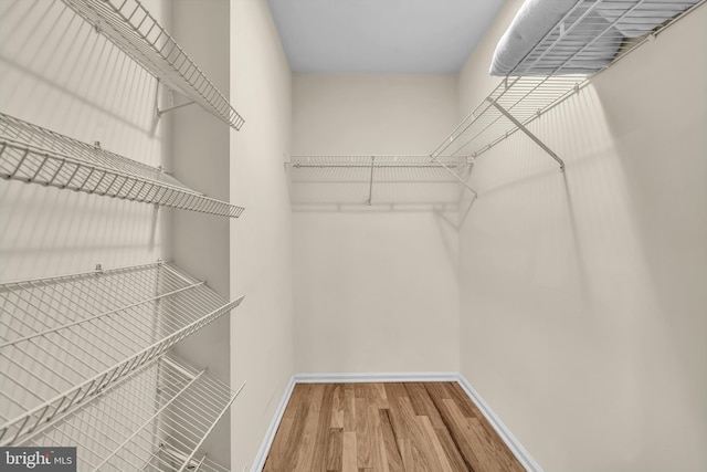 walk in closet featuring visible vents and wood finished floors