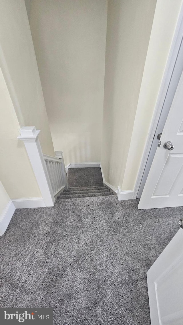 stairway with carpet floors and baseboards