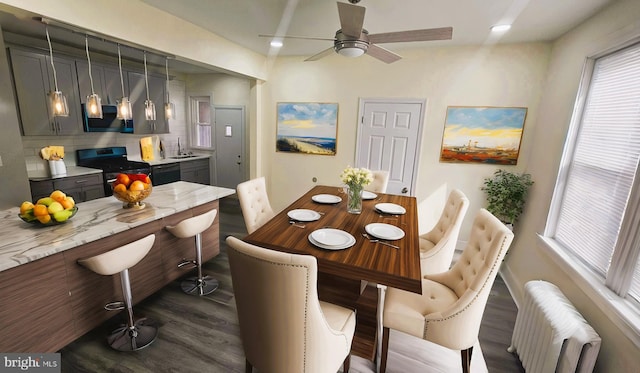 dining area with a ceiling fan, dark wood finished floors, and radiator heating unit