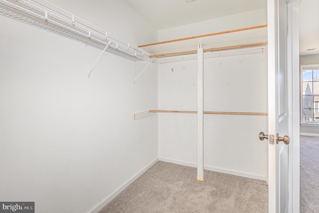 walk in closet with carpet floors