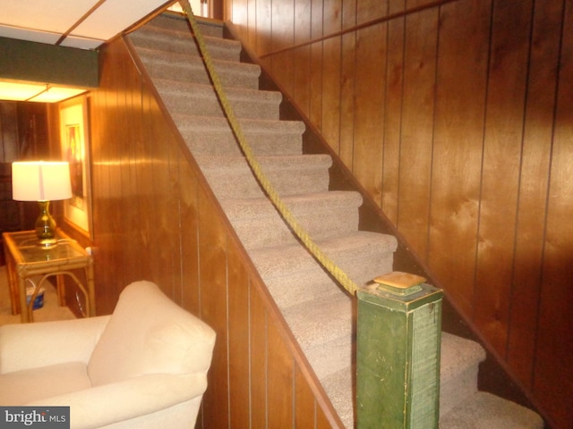 stairway with wooden walls