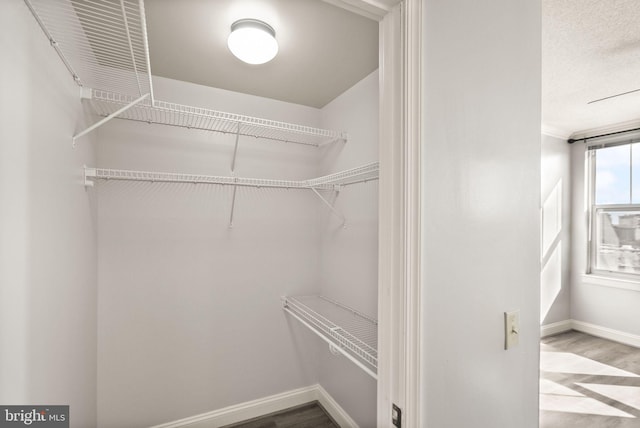 walk in closet with wood finished floors