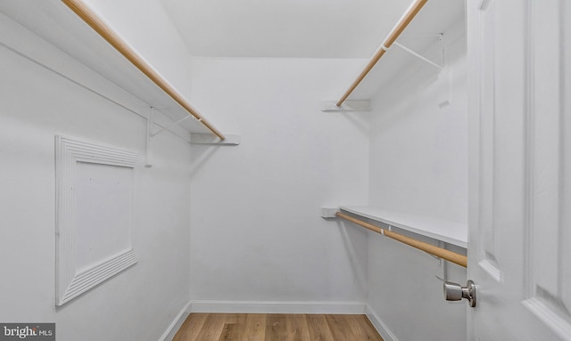 walk in closet with light wood-style flooring