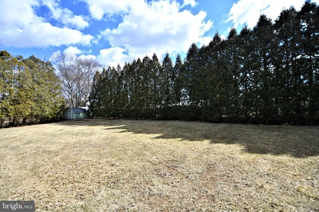 view of yard featuring an outdoor structure and a storage unit