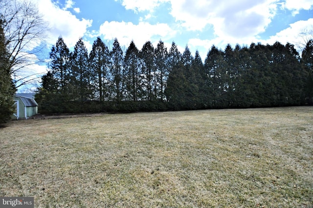 view of yard featuring an outbuilding and a storage shed