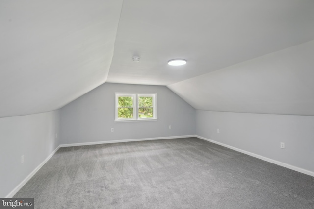 additional living space with carpet, baseboards, and vaulted ceiling