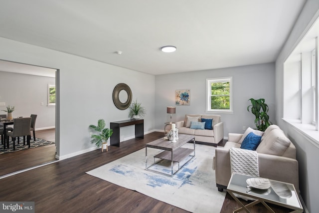 living room featuring baseboards and wood finished floors