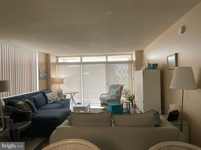 living area featuring floor to ceiling windows