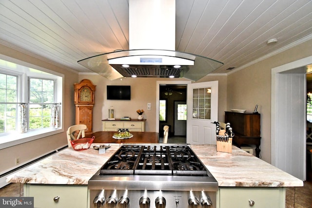 1200 Branch Rd, Perkasie, PA 18944 - kitchen featuring island range hood, a baseboard radiator, ornamental molding, wooden ceiling, and stove