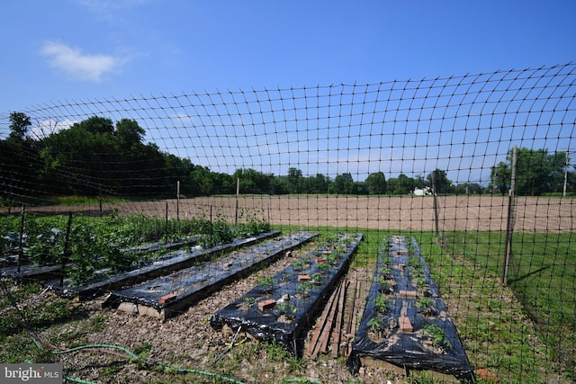 1200 Branch Rd, Perkasie, PA 18944 - view of yard featuring a vegetable garden