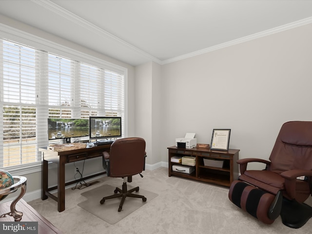 office space featuring a wealth of natural light, baseboards, carpet, and ornamental molding