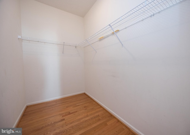 spacious closet featuring light wood-type flooring