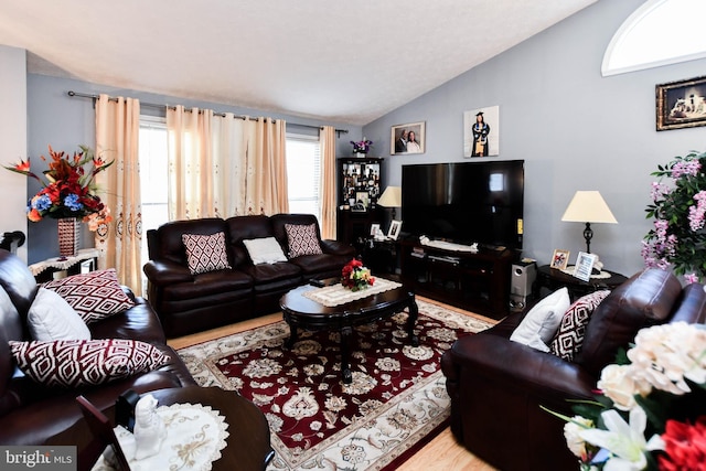 living room with vaulted ceiling