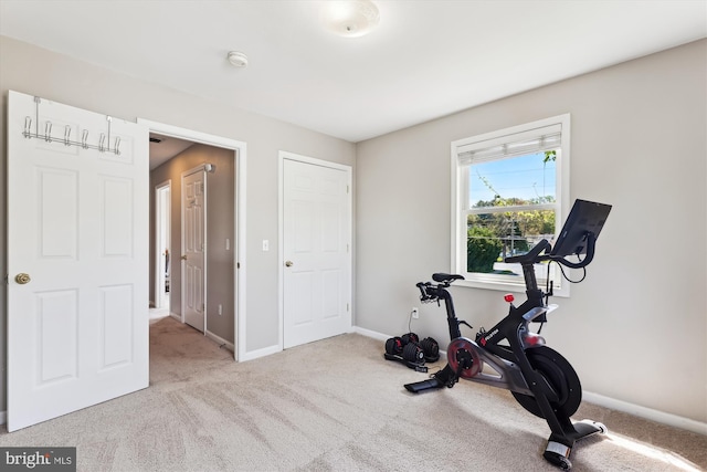 3246 Blundell Rd, Falls Church, VA 22042 - workout room with baseboards and carpet floors