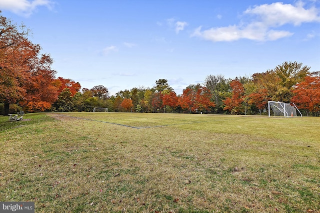 3246 Blundell Rd, Falls Church, VA 22042 - view of yard with a wooded view
