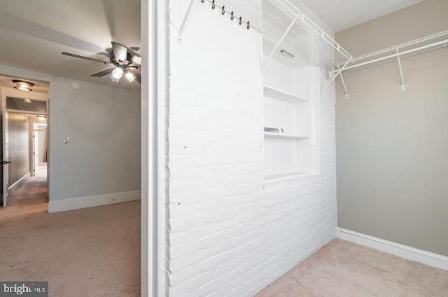 spacious closet featuring carpet and ceiling fan