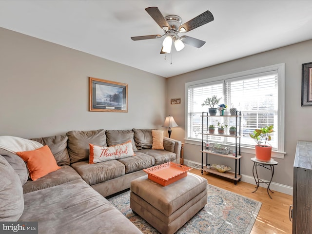 living room featuring a ceiling fan, light wood-style flooring, and baseboards