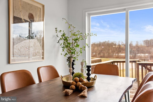 view of dining space