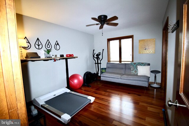 exercise room featuring a ceiling fan and wood finished floors