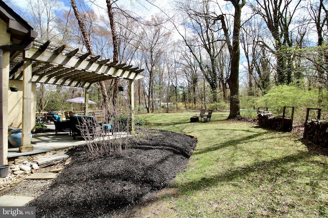 view of yard featuring a pergola, a patio, and a carport