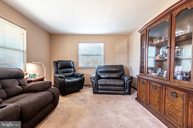 living room with light colored carpet