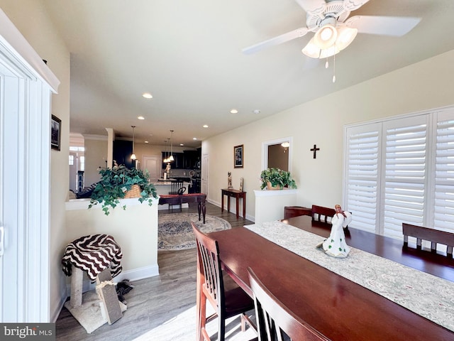 dining room featuring recessed lighting, ceiling fan, baseboards, and wood finished floors