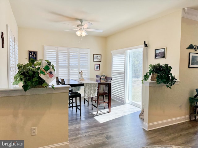 dining space featuring baseboards, plenty of natural light, wood finished floors, and a ceiling fan