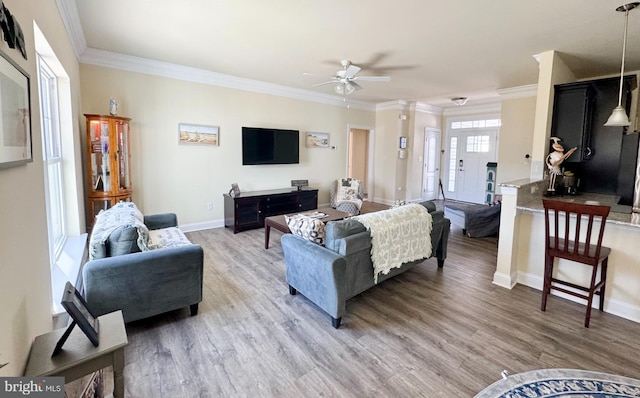 living area featuring crown molding, a ceiling fan, baseboards, and light wood finished floors