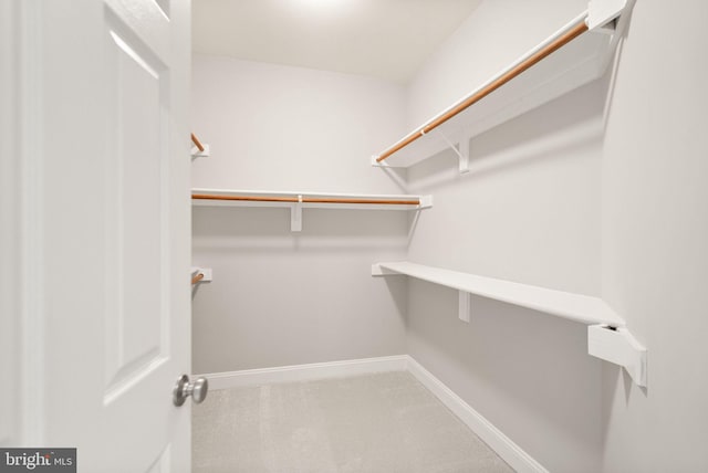 spacious closet with carpet